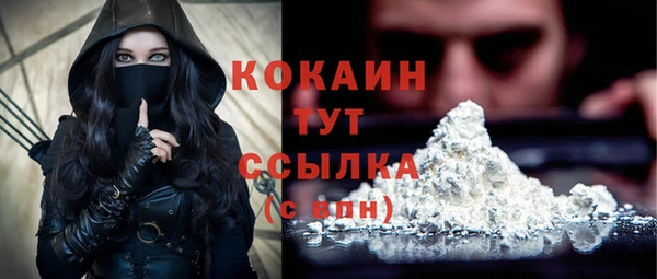 амф Верхний Тагил