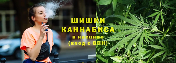амф Верхний Тагил