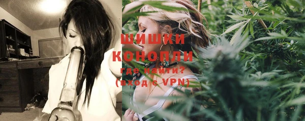 прущие крисы Апатиты
