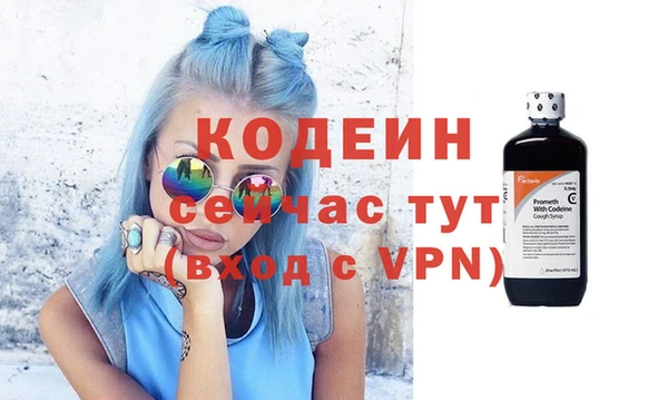 амф Верхний Тагил