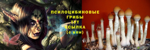 амф Верхний Тагил