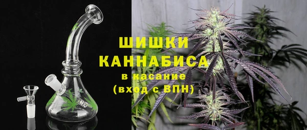 амф Верхний Тагил