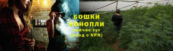 амф Верхний Тагил