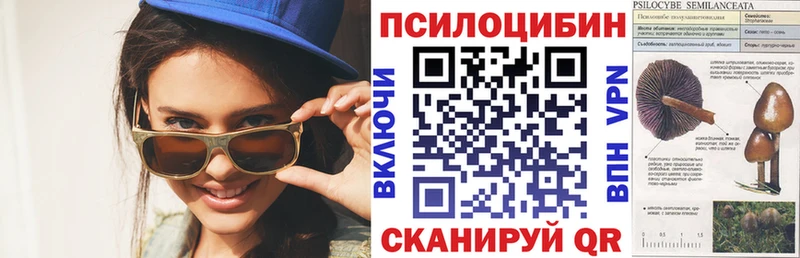 Псилоцибиновые грибы мухоморы  Горбатов 